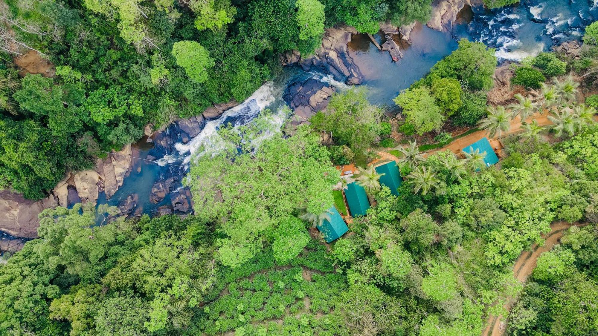 The Rainforest Hideaway デニヤヤ エクステリア 写真