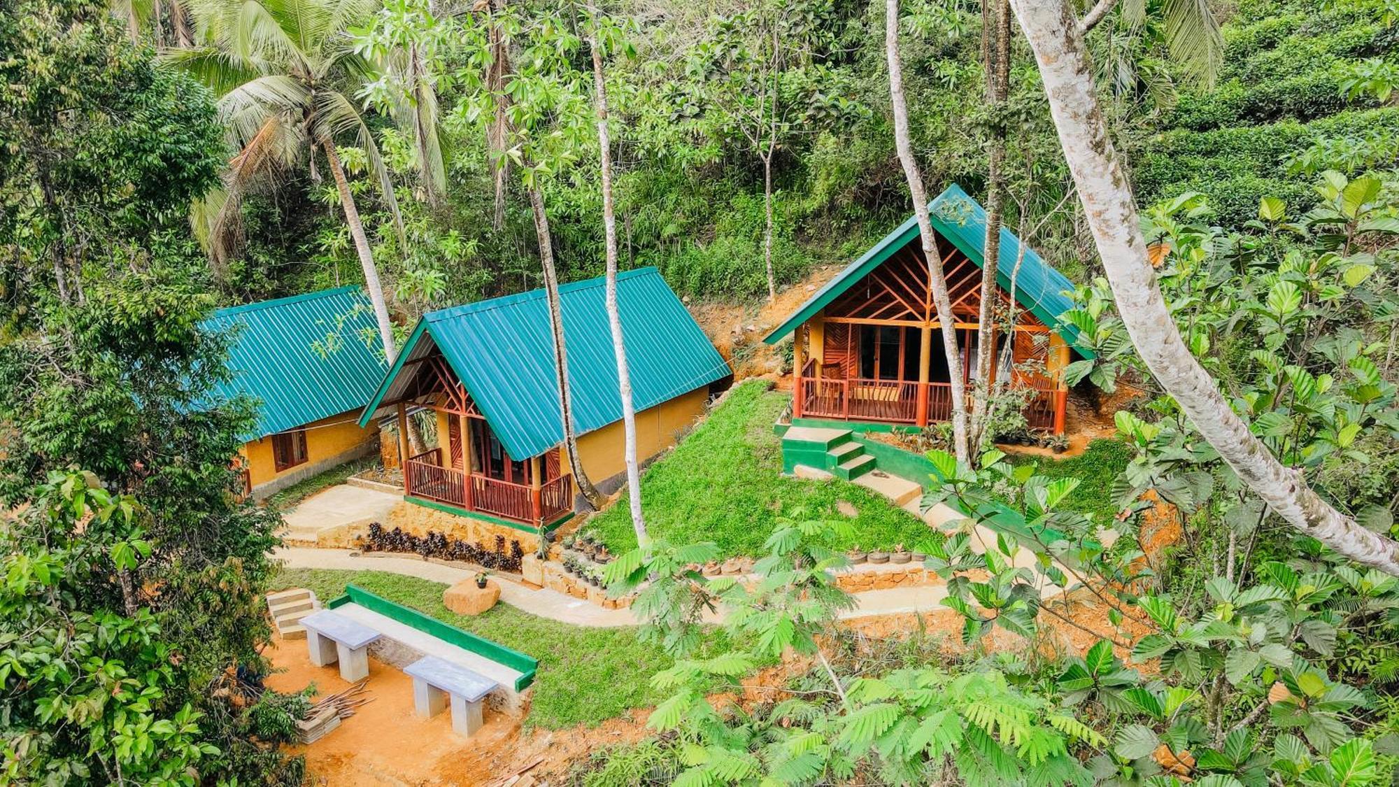 The Rainforest Hideaway デニヤヤ エクステリア 写真