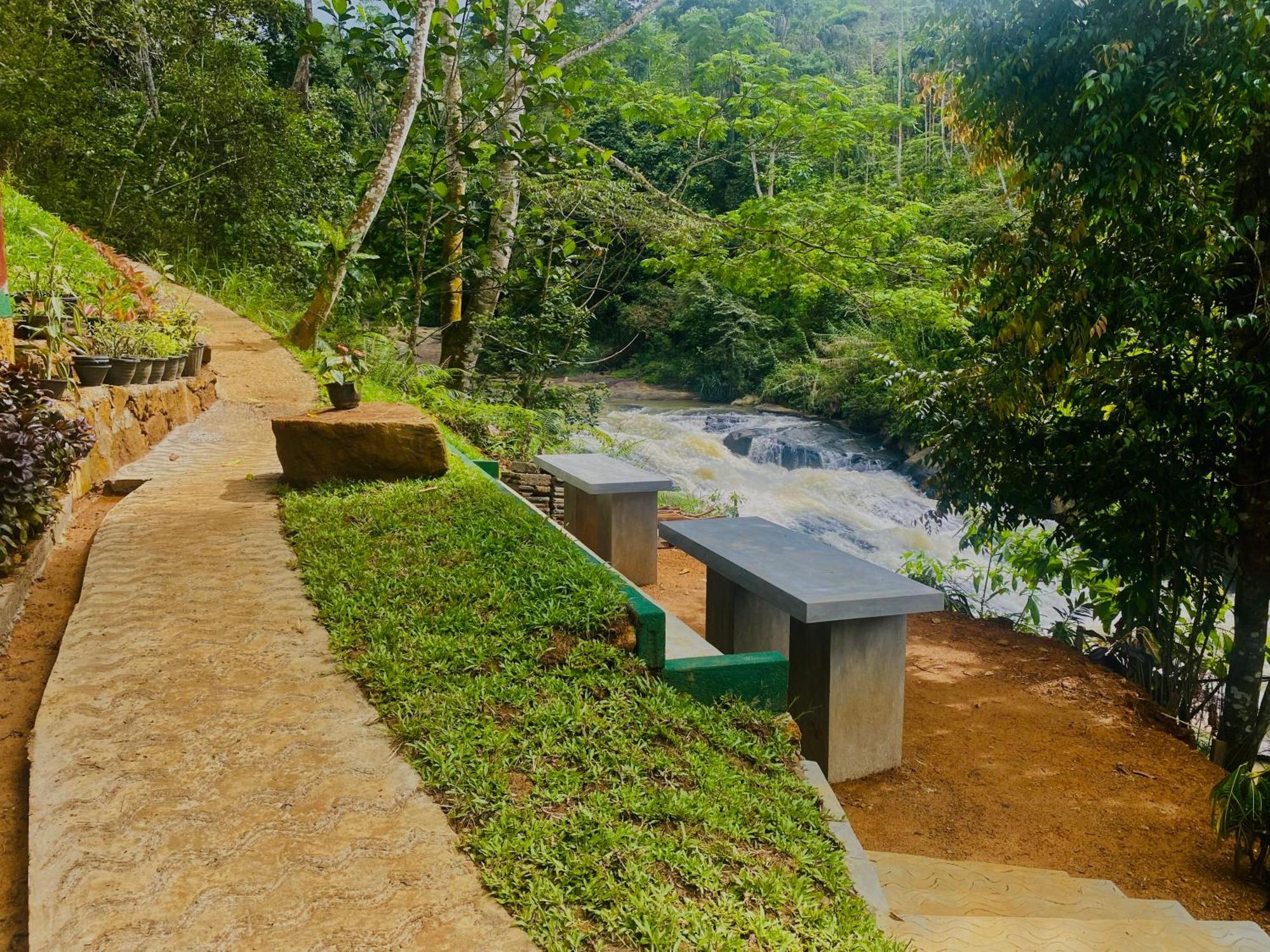 The Rainforest Hideaway デニヤヤ エクステリア 写真
