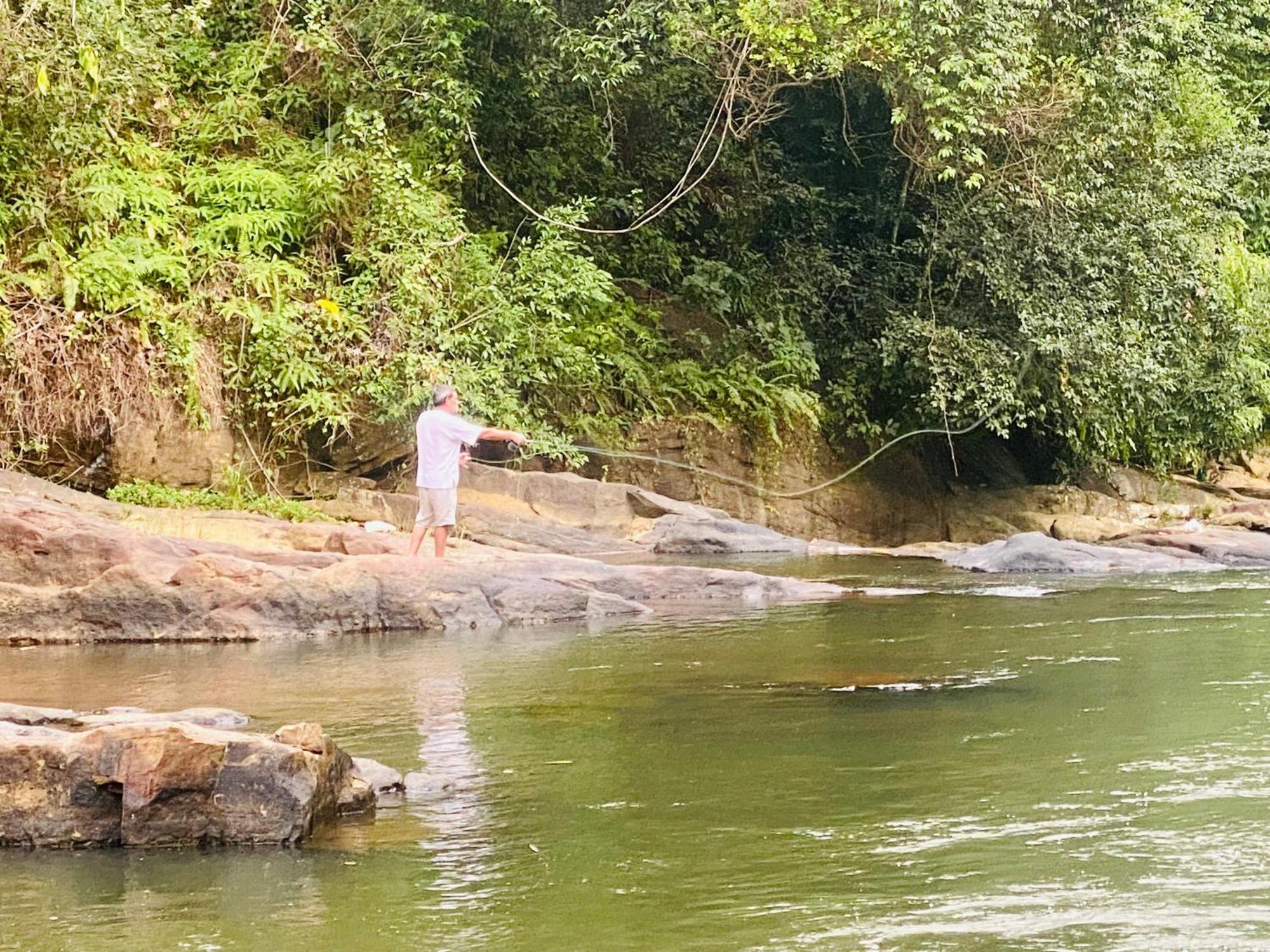 The Rainforest Hideaway デニヤヤ エクステリア 写真