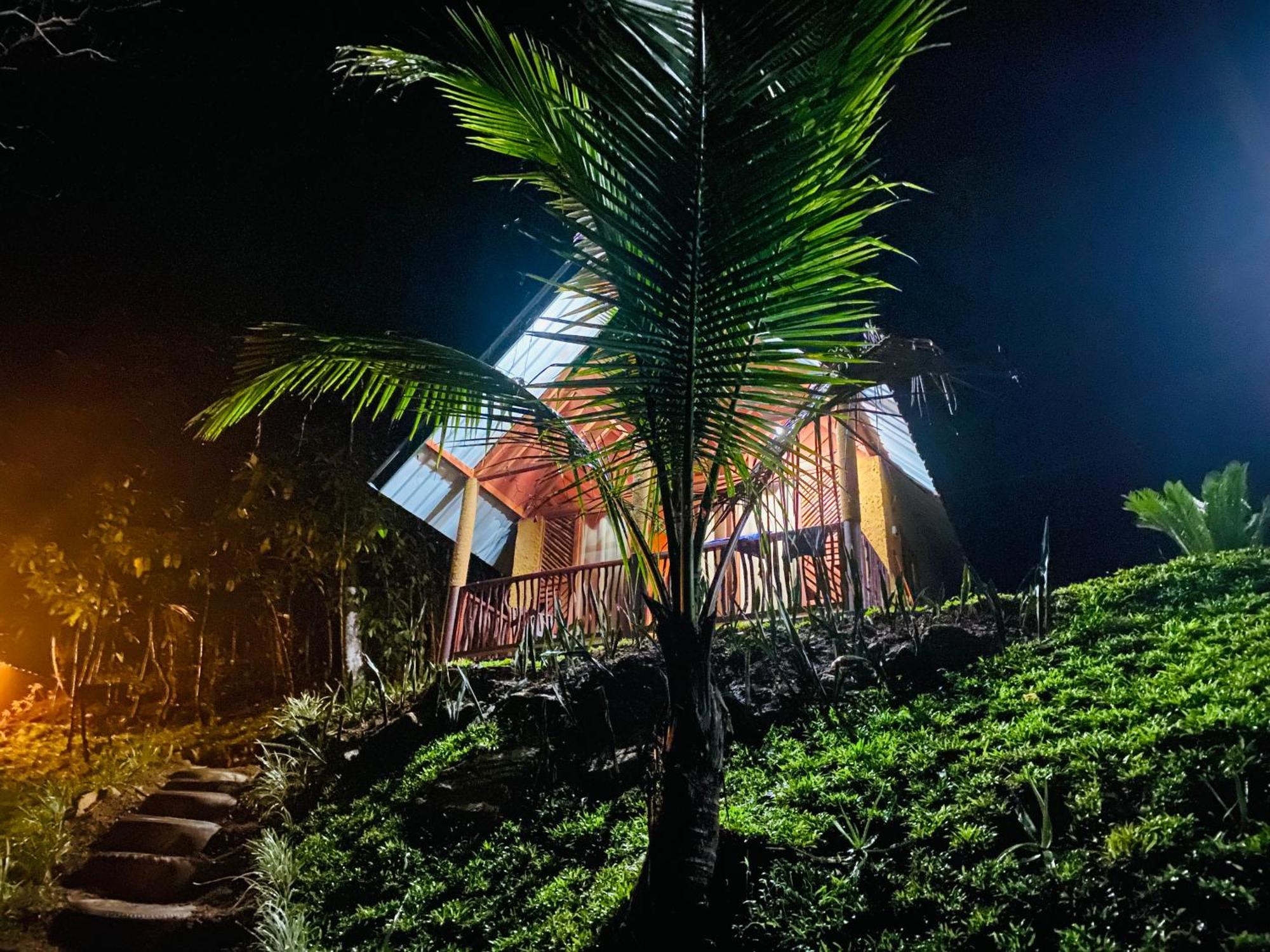The Rainforest Hideaway デニヤヤ エクステリア 写真