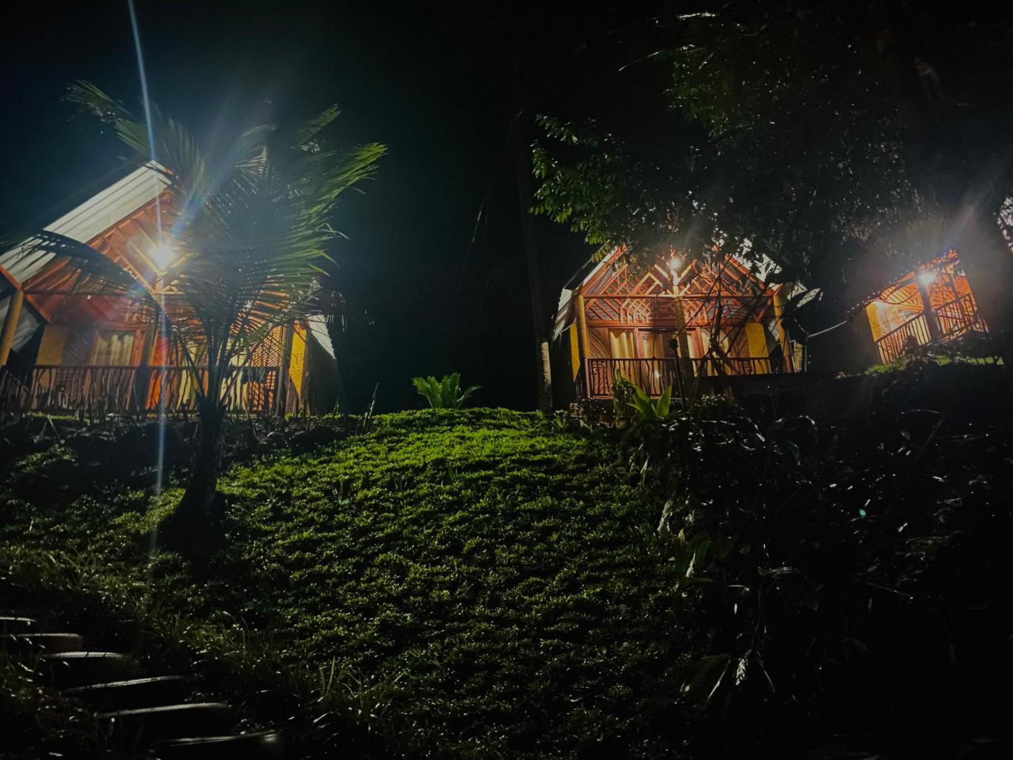 The Rainforest Hideaway デニヤヤ エクステリア 写真