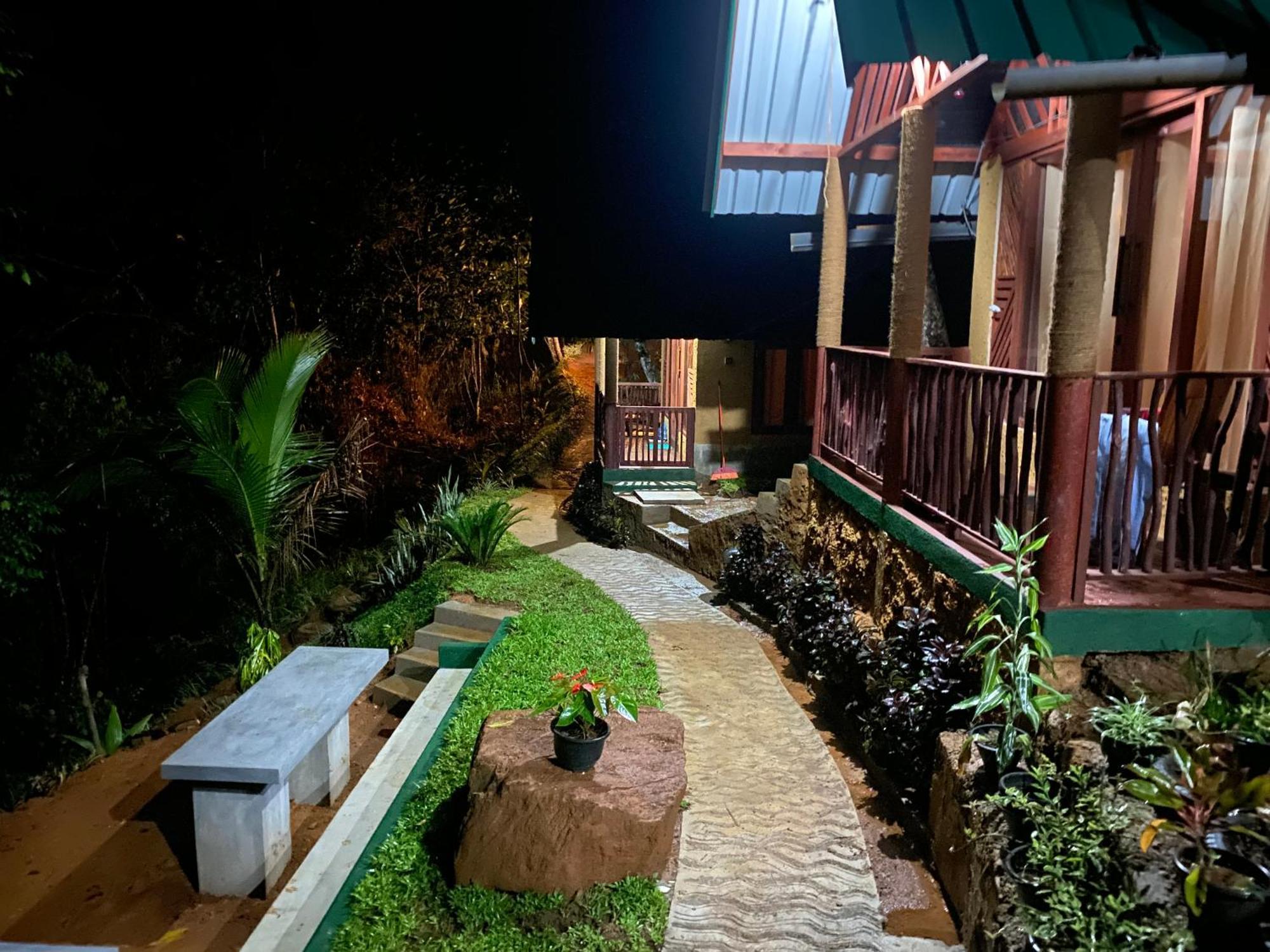The Rainforest Hideaway デニヤヤ エクステリア 写真