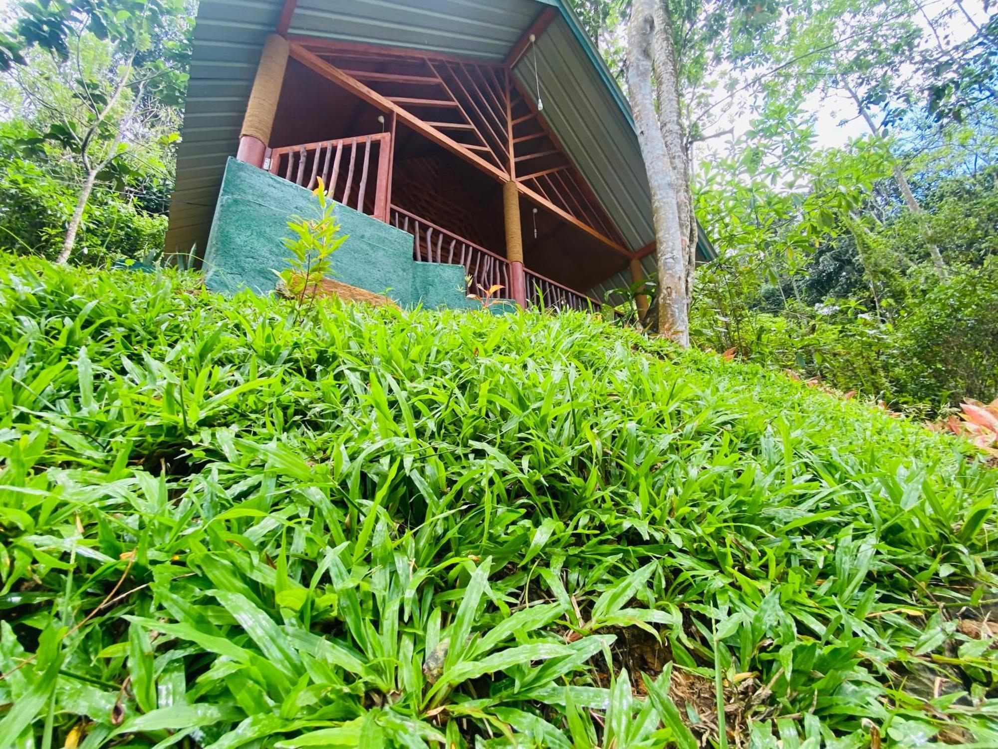 The Rainforest Hideaway デニヤヤ エクステリア 写真