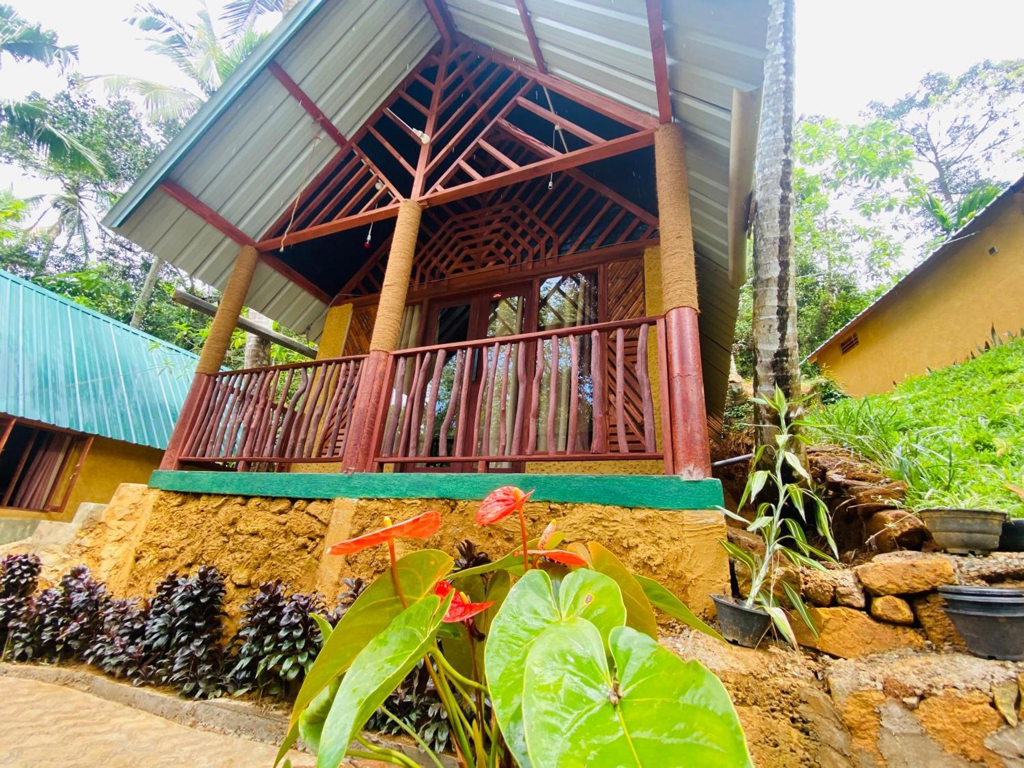 The Rainforest Hideaway デニヤヤ エクステリア 写真